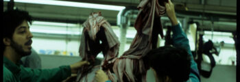 <h3>1991, Fabrication of Muriel Castanis’ sculpture Ideals for Portland State Office Building</h3>