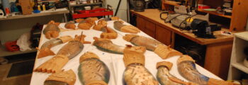 <h3>2013, Fish being fabricated by Rick Bartow and Nancy Blair for their work Heartbeat of the River at Western Oregon University Health & Wellness Center</h3>