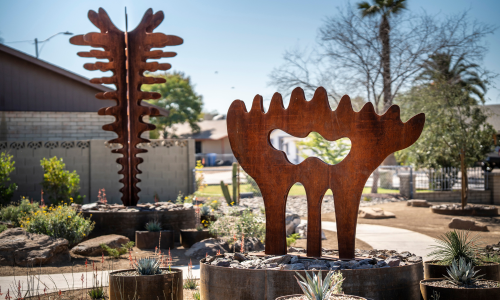 Neighborhood Vista by Jeff Zischke