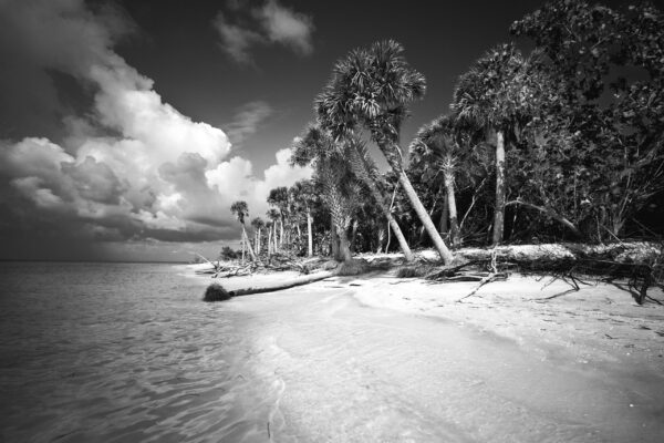 Cayo Costa #3 by Clyde Butcher