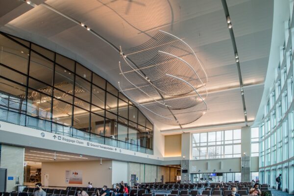 Cirri by Patrick Marold