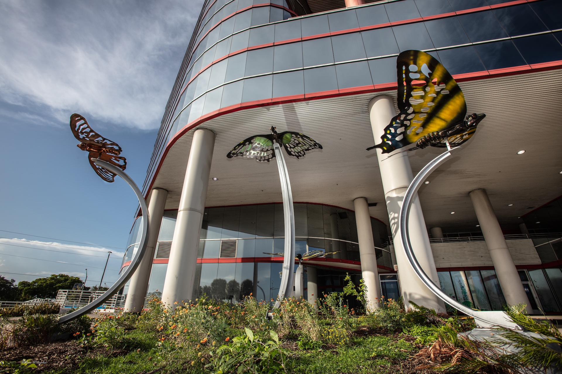 3 sculptural butterflies perched on top of three bent metal poles in front of a large building.