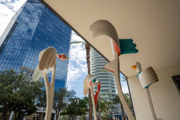 Enchanted Mangrove Forest by Candace Knapp